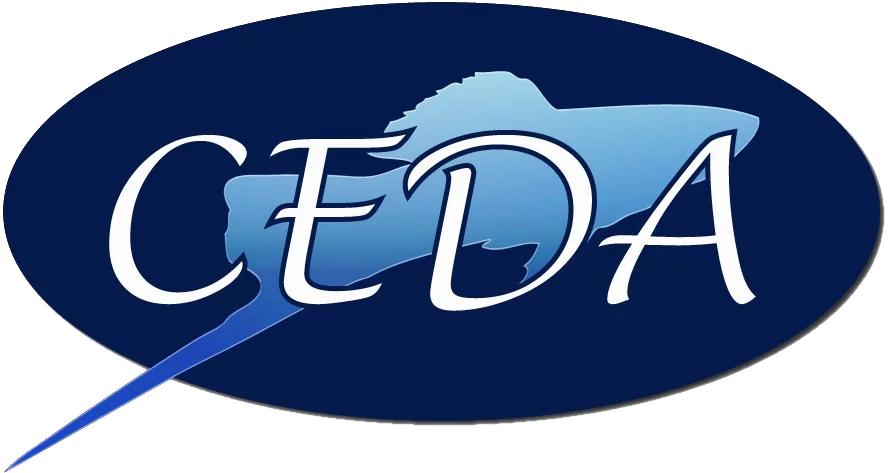 CEDA